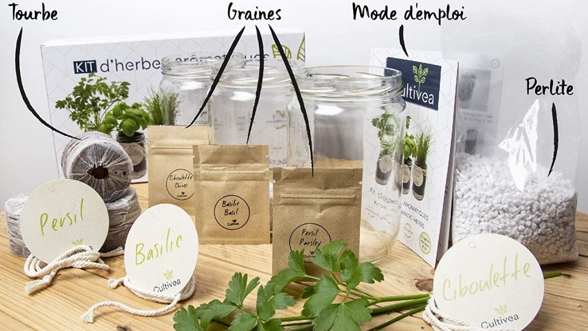 https://dailygeekshow.com/wp-content/uploads/2021/03/une-kit-herbes-aromatiques.jpg