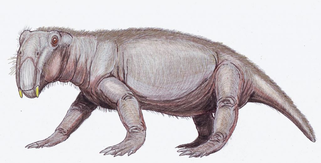 lystrosaurus mammifere