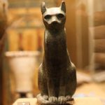 chat-egypte