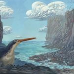 Représentation artistique de waewaeroa