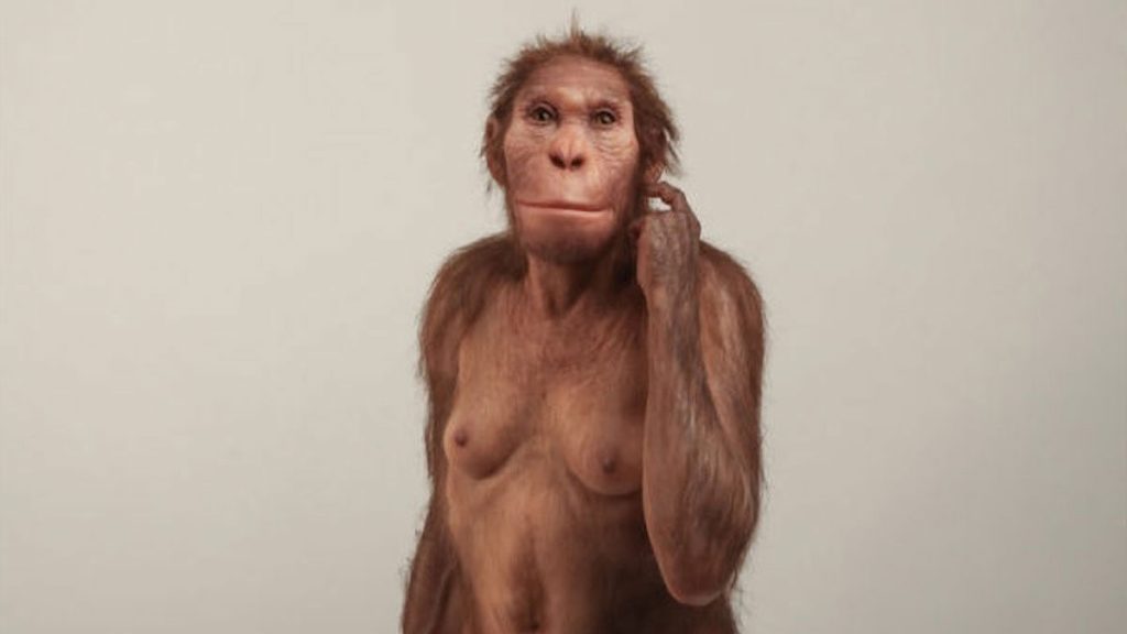 Cet hominidé marchait comme un humain mais grimpait comme un singe ! (vidéo sur Bidfoly.com) Par Yann Contegat Une-australopithecus-sediba-1024x576