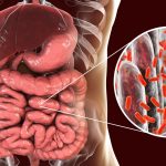 microbiote-intestinal