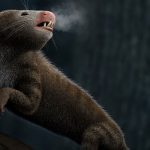 mammifere-endotherme