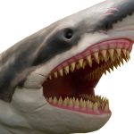 megalodon