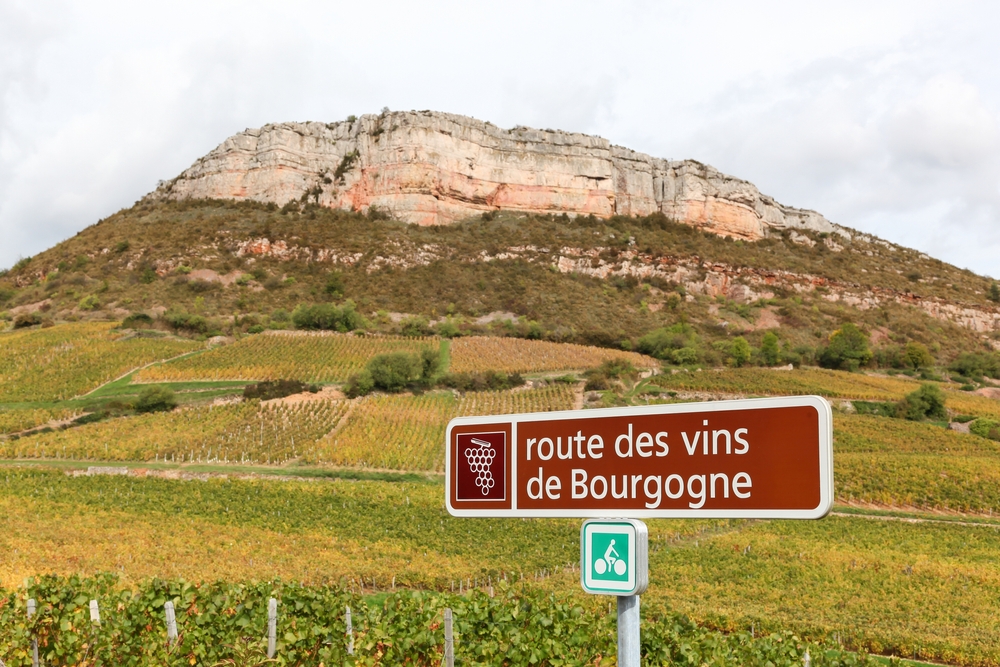 Les routes des vins en Bourgogne