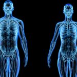 corps-homme-femme