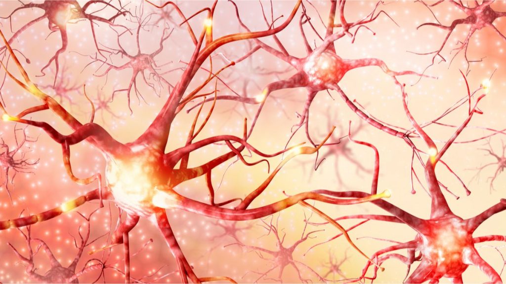 I neuroni dell'Alzheimer