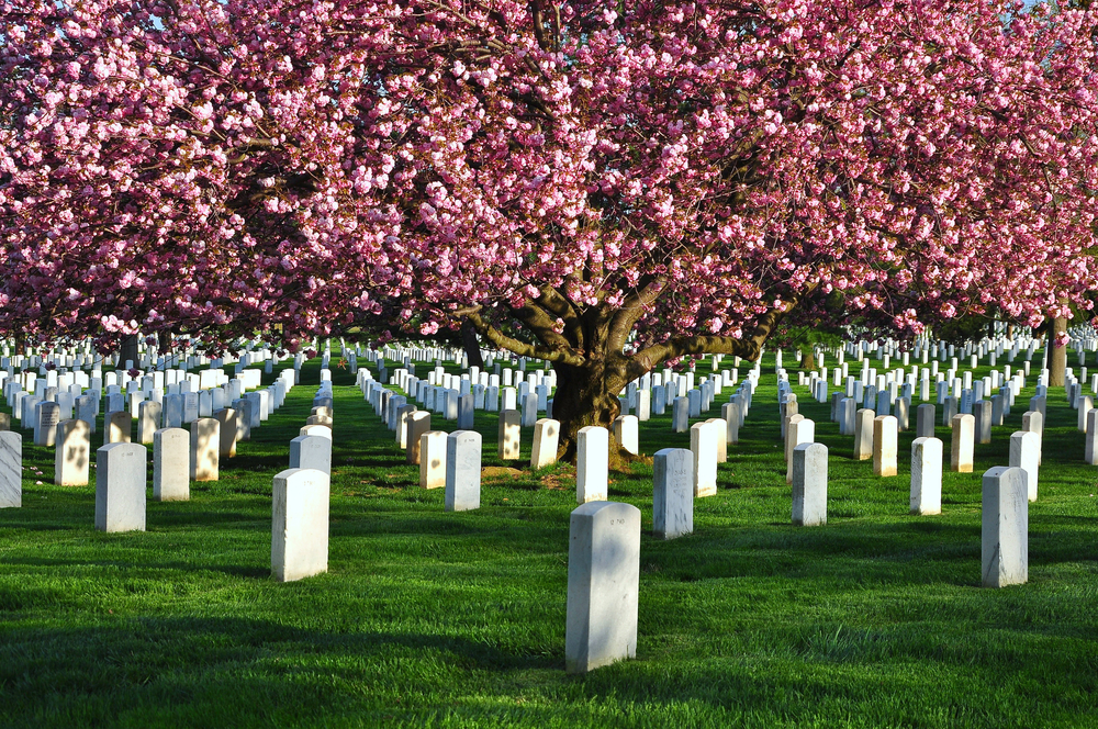 cimetière national d’Arlington