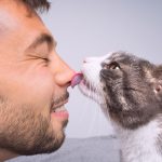 Chat qui lèche le visage de son maitre