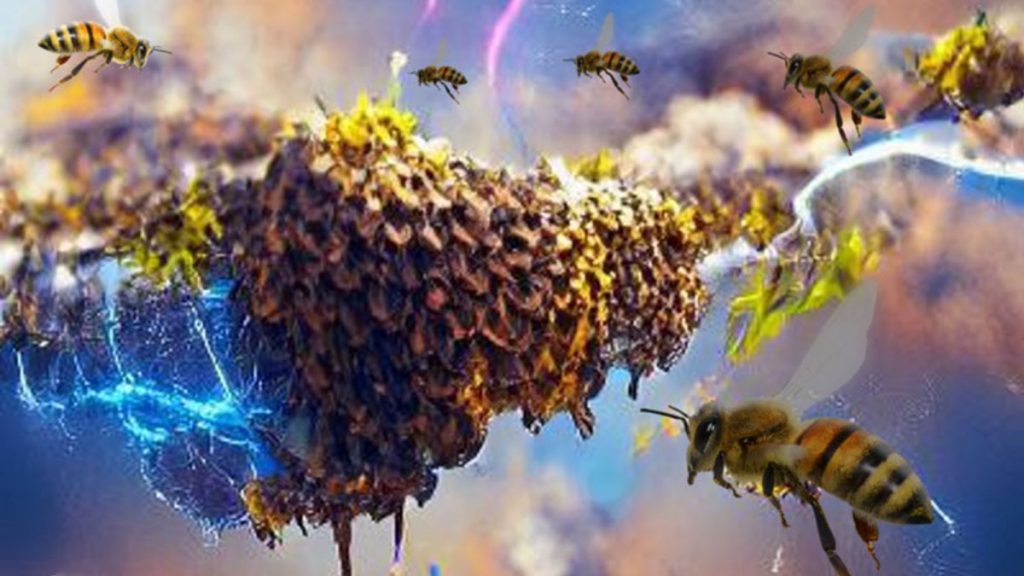 abeilles