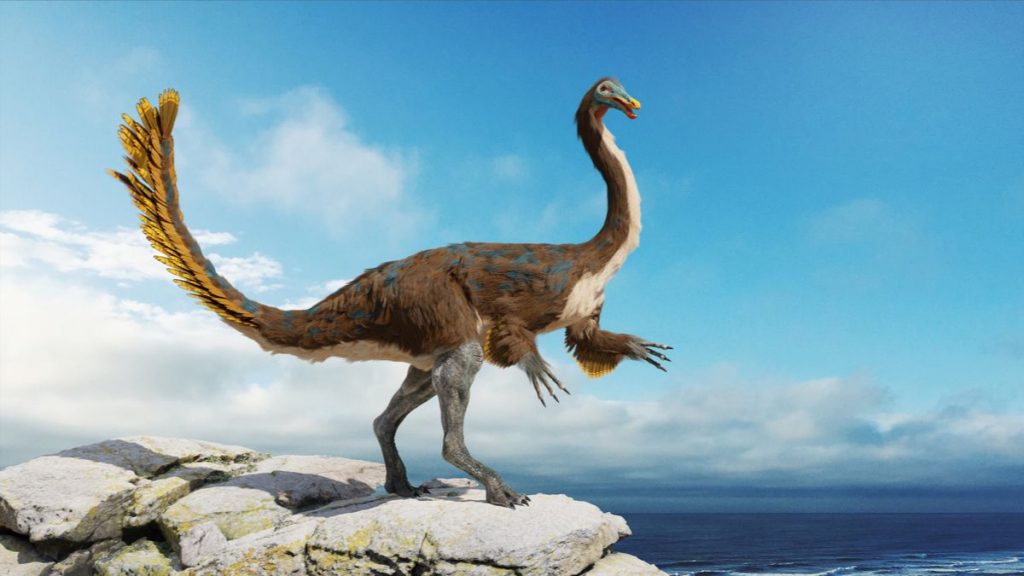 ornithomimosaure-dinosaure