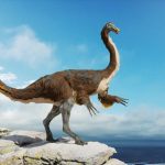 ornithomimosaure-dinosaure