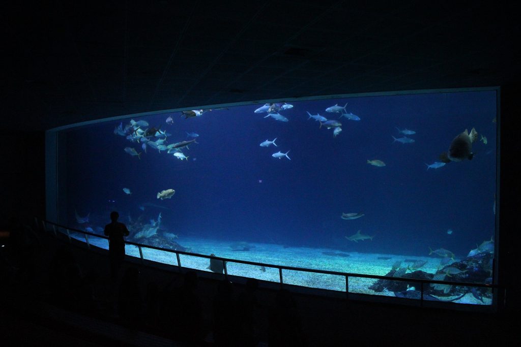 Aquarium Taïwan