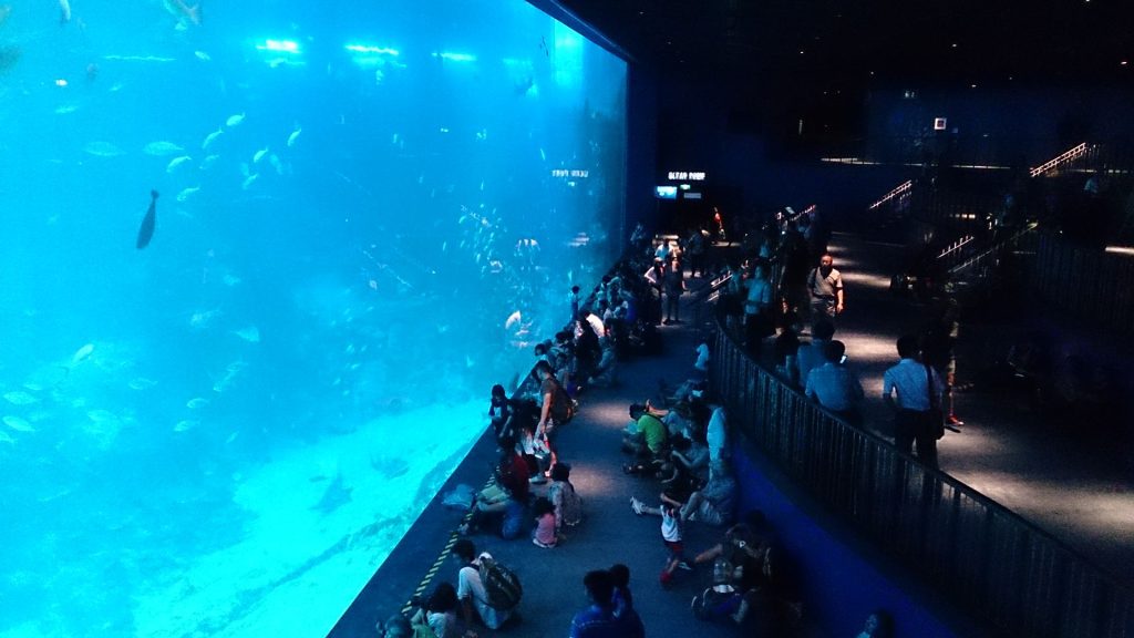 Aquarium Singapour