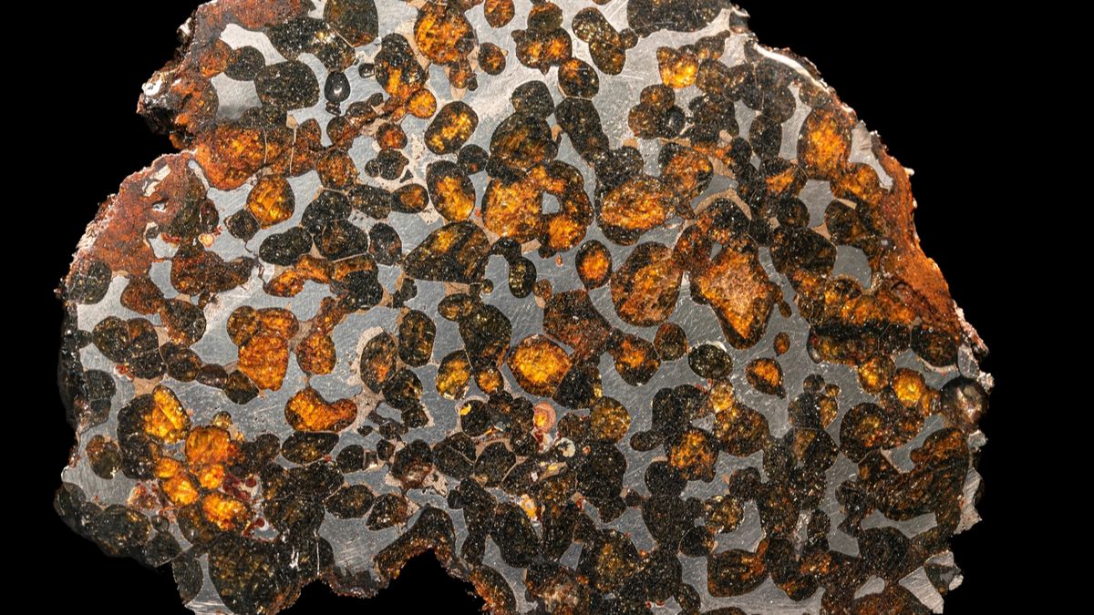 Deux minéraux jamais vus sur Terre découverts dans une météorite de 15 tonnes
