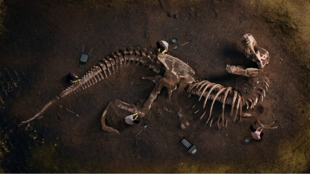 squelette dinosaure