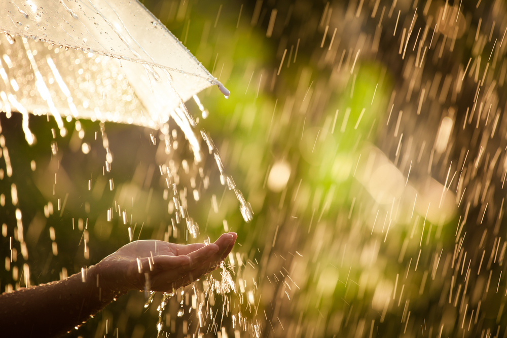 plastiques pluie