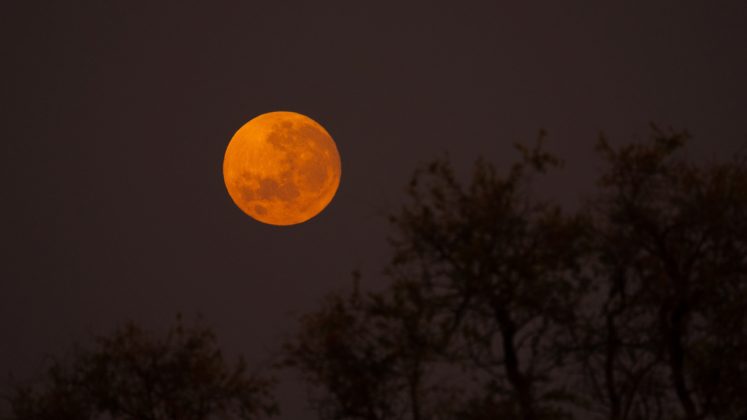 Pourquoi la lune devient-elle rouge pendant une éclipse lunaire totale