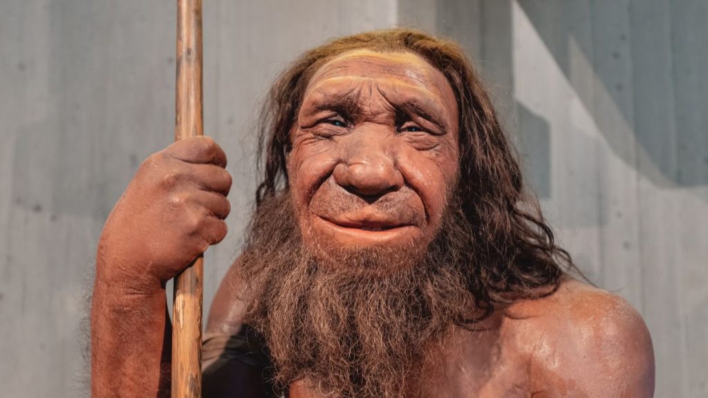 neandertal