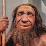 neandertal