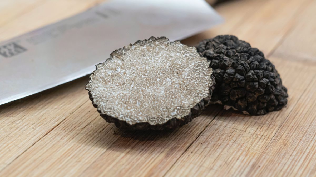 Pourquoi les truffes coûtent si cher ?