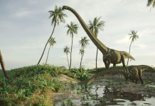 dinosaure-theropode