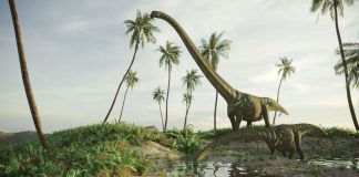 dinosaure-theropode