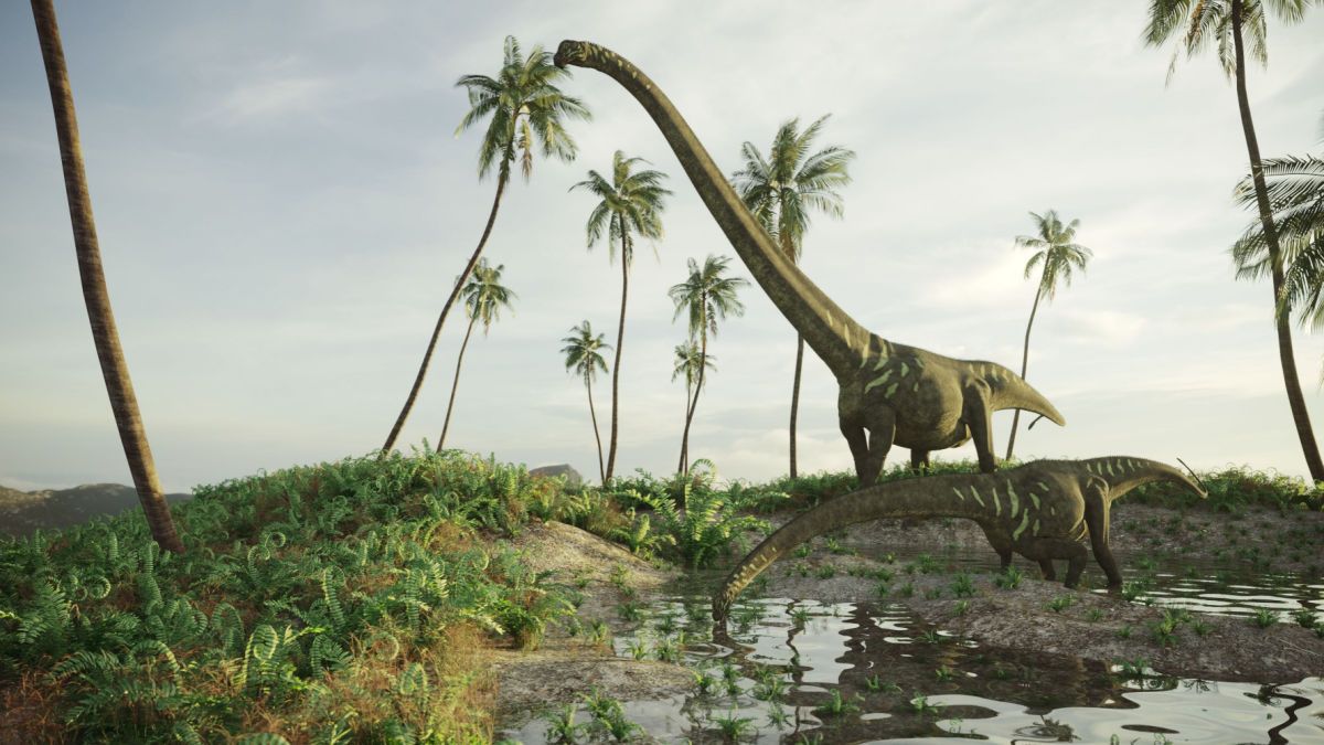 Ce dinosaure avait un cou de 15 mètres de long - Sciences et Avenir