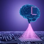 mini-cerveau-ordinateur