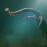 plesiosaure