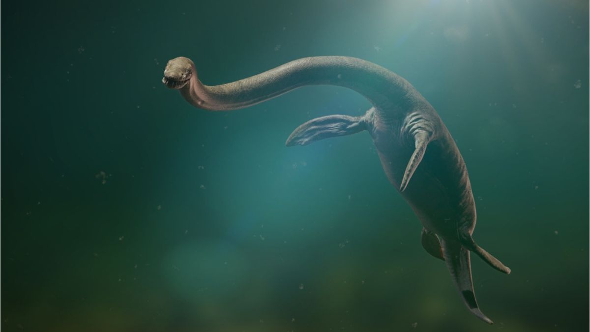 plesiosaure