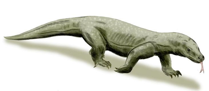 megalania