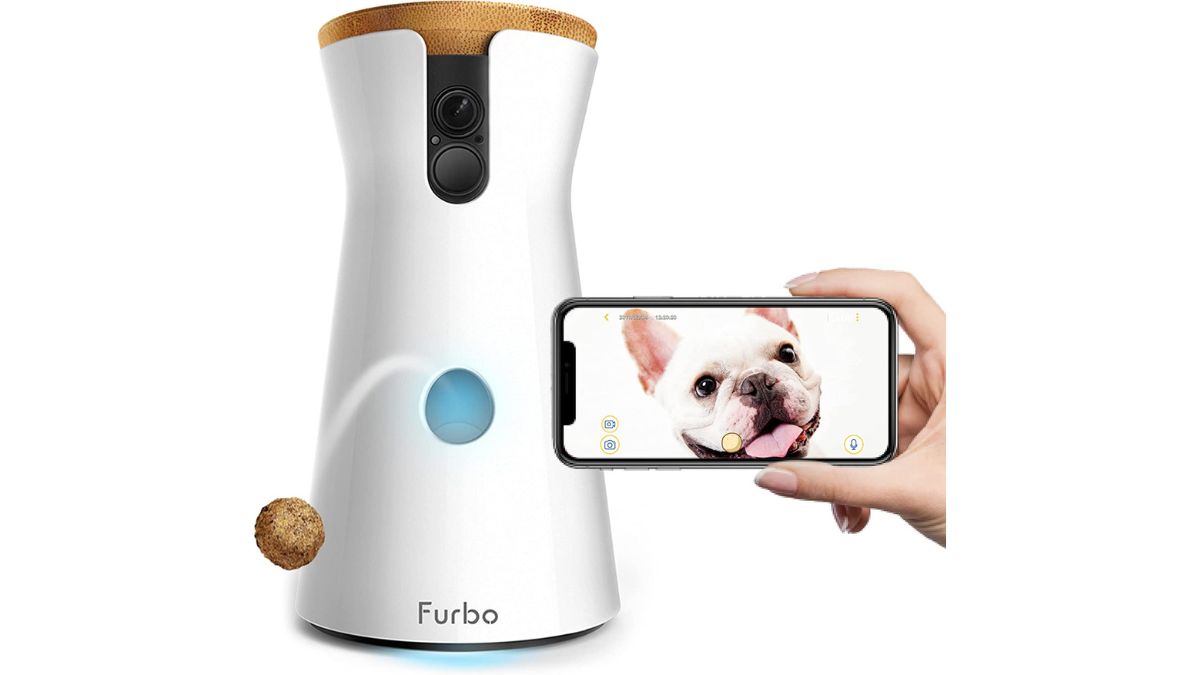Avec cette caméra intelligente, surveillez votre chien et donnez