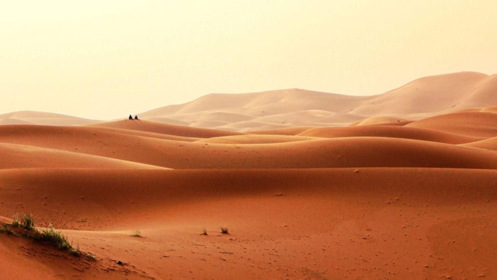 désert aride