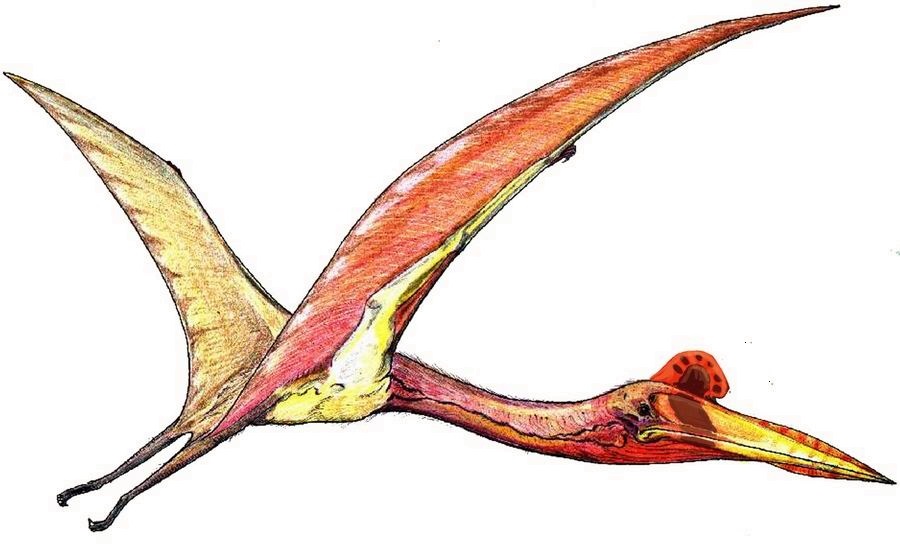 quetzalcoatlus