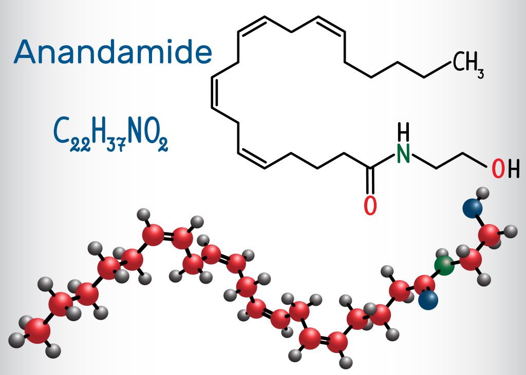 anandamide