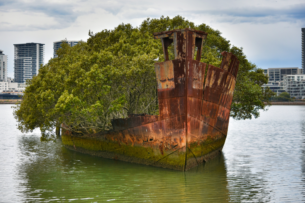 forêt flottante