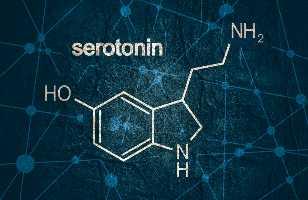 sérotonine