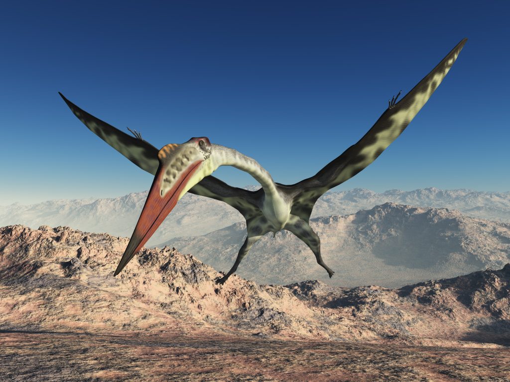 quetzalcoatlus