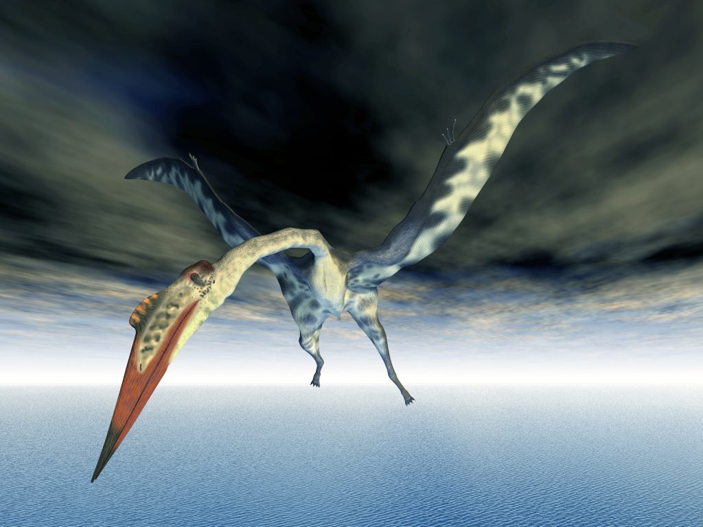 quetzalcoatlus