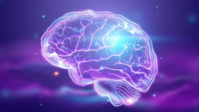 Quel pourcentage du cerveau utilise-t-on