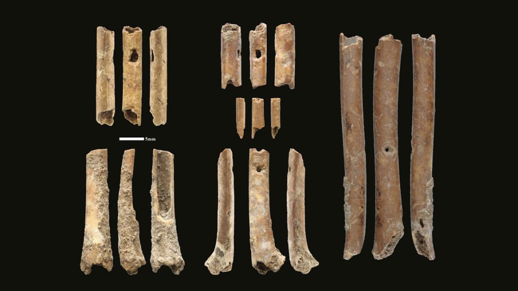 Découverte de flûtes en os vieilles de 12 000 ans au MoyenOrient — free download