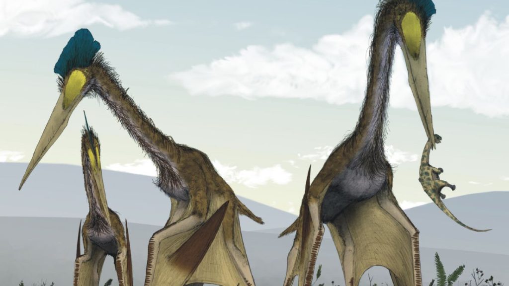 quetzalcoatlus