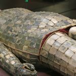 costumes funéraires de jade