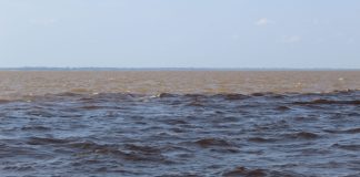 Les océans Pacifique et Atlantique se mélangent-ils ?