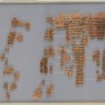 Canon royal de Turin