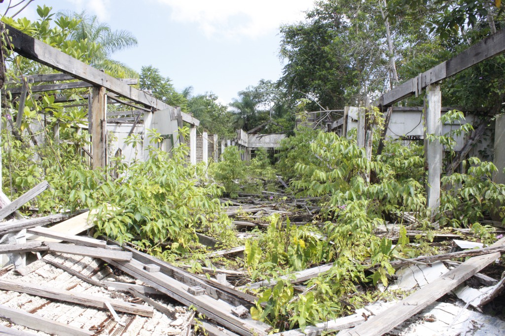 Fordlandia