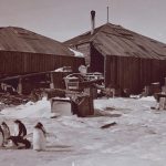 Antarctique-appendice