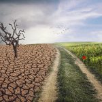 changement climatique