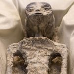 momie-extraterrestre